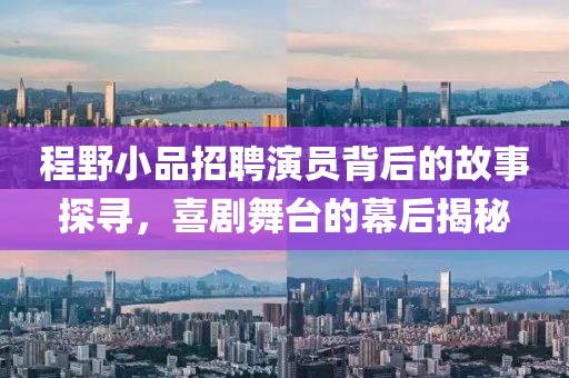 程野小品招聘演员背后的故事探寻，喜剧舞台的幕后揭秘