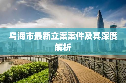 乌海市最新立案案件及其深度解析