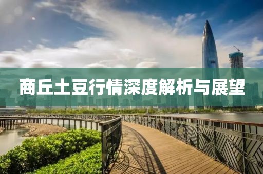 商丘土豆行情深度解析与展望