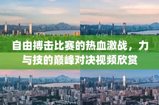 自由搏击比赛的热血激战，力与技的巅峰对决视频欣赏