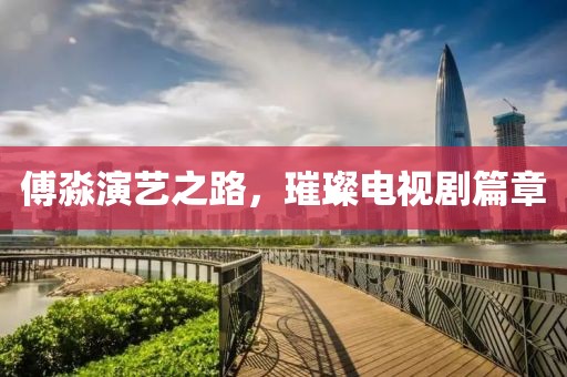 傅淼演艺之路，璀璨电视剧篇章