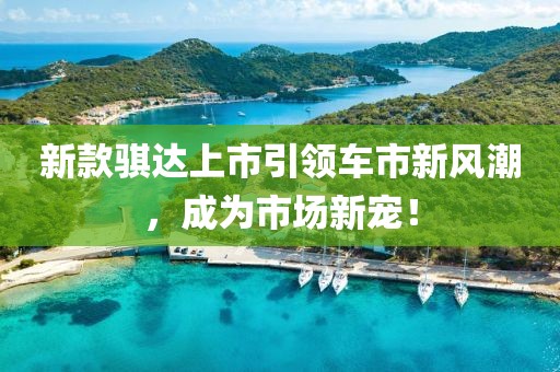 新款骐达上市引领车市新风潮，成为市场新宠！