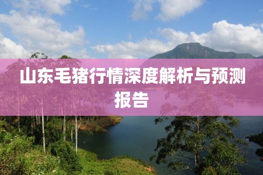 公司简介 第619页