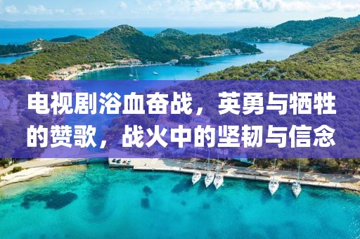 电视剧浴血奋战，英勇与牺牲的赞歌，战火中的坚韧与信念