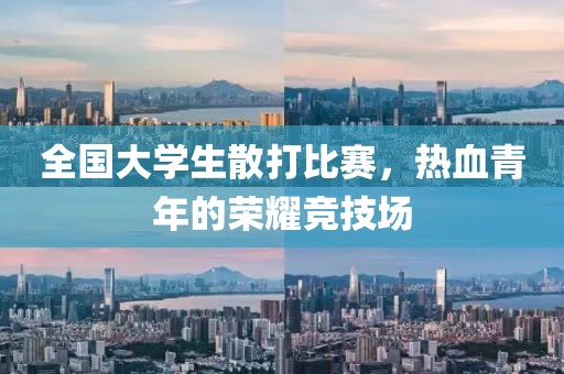 全国大学生散打比赛，热血青年的荣耀竞技场