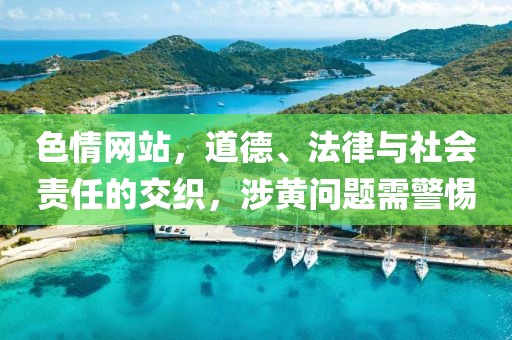 色情网站，道德、法律与社会责任的交织，涉黄问题需警惕