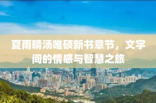 夏雨晴汤唯硕新书章节，文字间的情感与智慧之旅