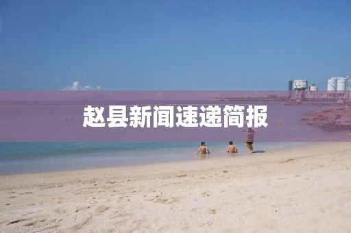 赵县新闻速递简报