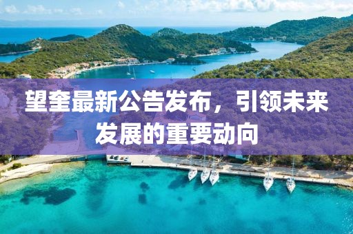 望奎最新公告发布，引领未来发展的重要动向