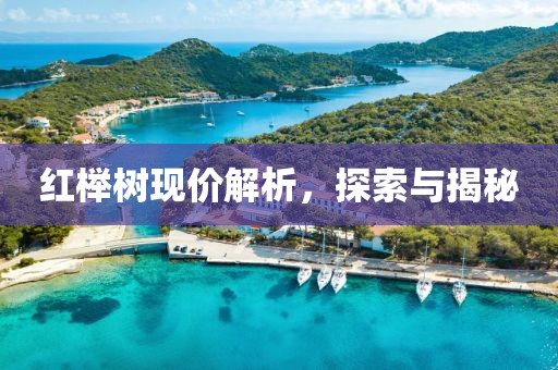 红榉树现价解析，探索与揭秘