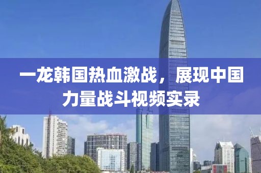 一龙韩国热血激战，展现中国力量战斗视频实录