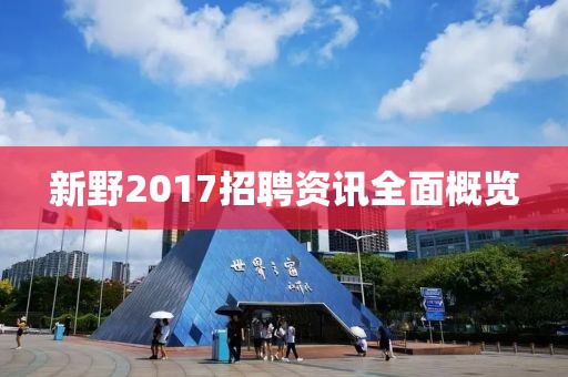 新野2017招聘资讯全面概览