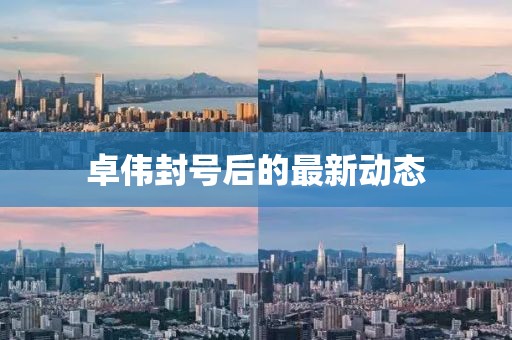 佐佐木惠理 第17页