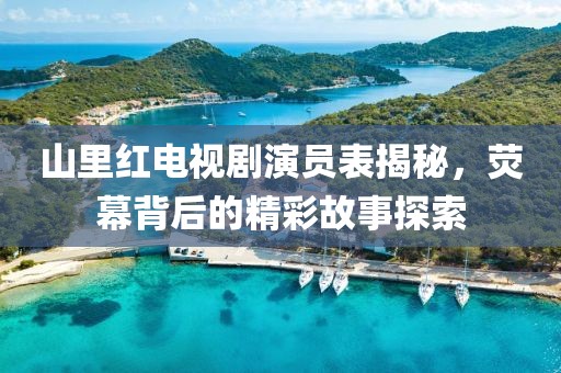 山里红电视剧演员表揭秘，荧幕背后的精彩故事探索