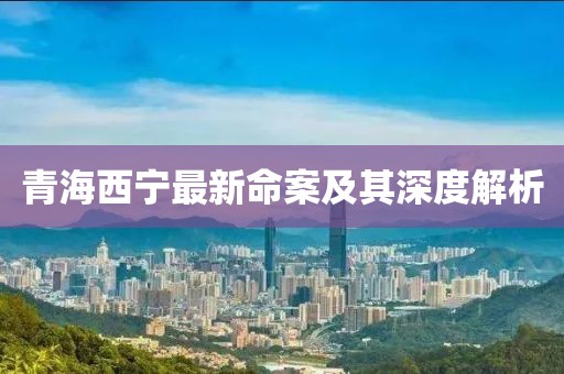 青海西宁最新命案及其深度解析