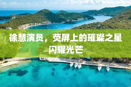 徐慧演员，荧屏上的璀璨之星闪耀光芒