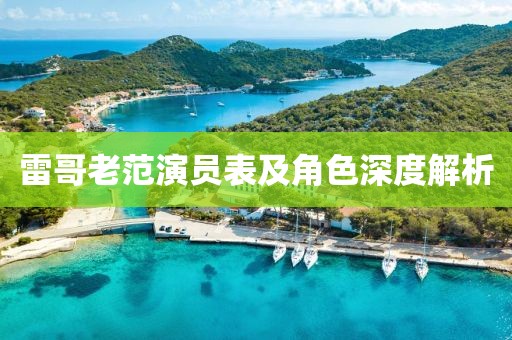 雷哥老范演员表及角色深度解析