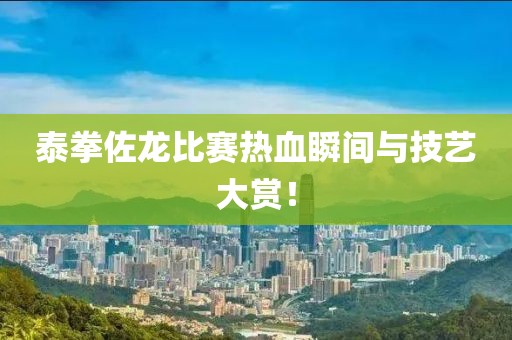 泰拳佐龙比赛热血瞬间与技艺大赏！