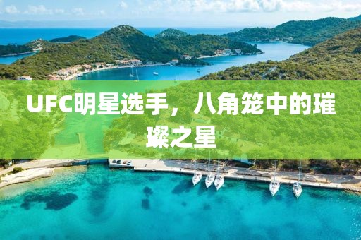 UFC明星选手，八角笼中的璀璨之星