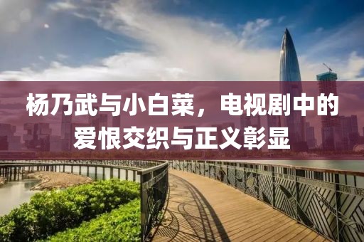 杨乃武与小白菜，电视剧中的爱恨交织与正义彰显
