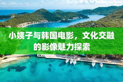 小姨子与韩国电影，文化交融的影像魅力探索