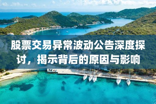 股票交易异常波动公告深度探讨，揭示背后的原因与影响