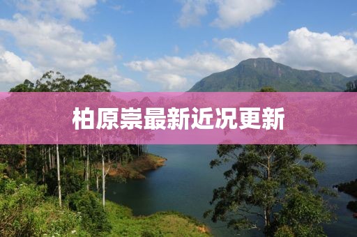 柏原崇最新近况更新