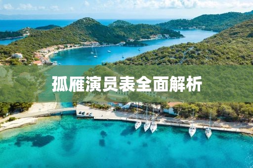 孤雁演员表全面解析