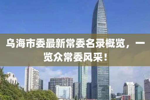乌海市委最新常委名录概览，一览众常委风采！