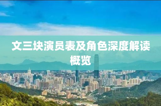 文三块演员表及角色深度解读概览