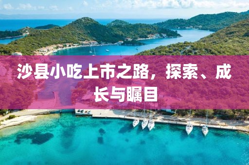 沙县小吃上市之路，探索、成长与瞩目