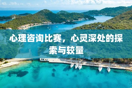心理咨询比赛，心灵深处的探索与较量