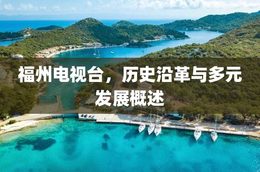 福州电视台，历史沿革与多元发展概述