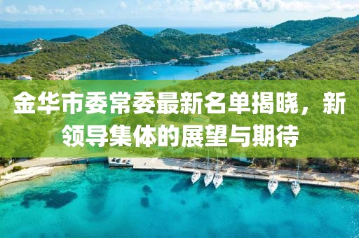 金华市委常委最新名单揭晓，新领导集体的展望与期待