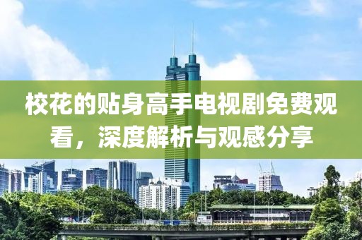 校花的贴身高手电视剧免费观看，深度解析与观感分享