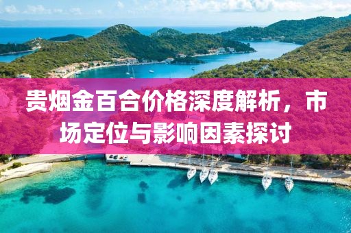 贵烟金百合价格深度解析，市场定位与影响因素探讨