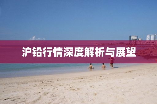 沪铅行情深度解析与展望