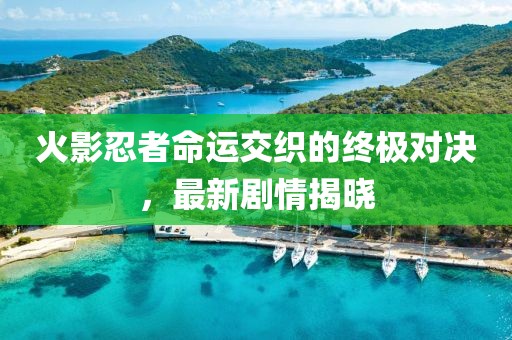 火影忍者命运交织的终极对决，最新剧情揭晓