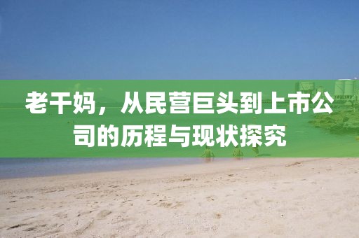老干妈，从民营巨头到上市公司的历程与现状探究