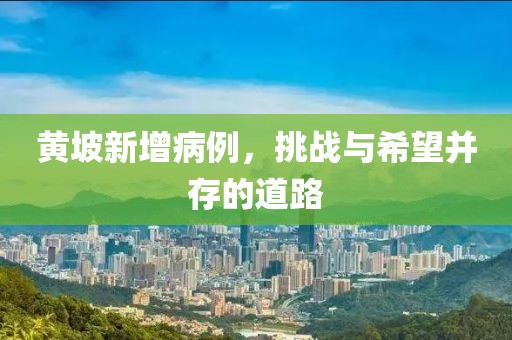 黄坡新增病例，挑战与希望并存的道路
