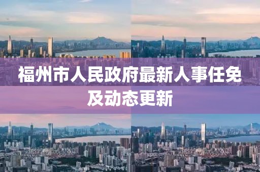 福州市人民政府最新人事任免及动态更新