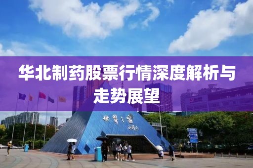 华北制药股票行情深度解析与走势展望