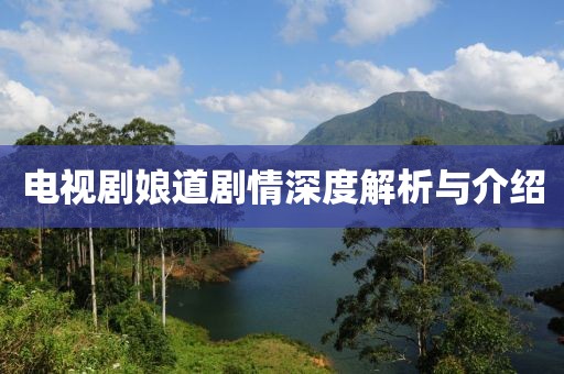 电视剧娘道剧情深度解析与介绍