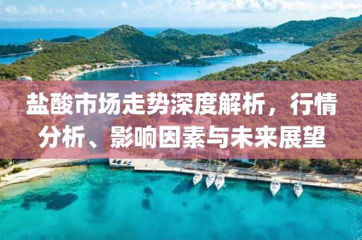 盐酸市场走势深度解析，行情分析、影响因素与未来展望
