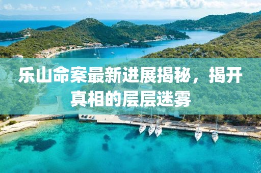 乐山命案最新进展揭秘，揭开真相的层层迷雾