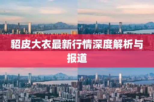 貂皮大衣最新行情深度解析与报道