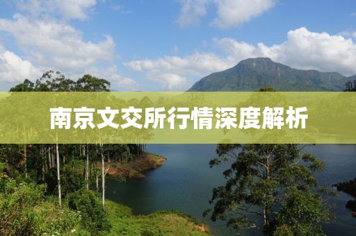 俄是最开心的 第17页