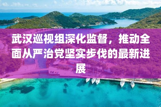 武汉巡视组深化监督，推动全面从严治党坚实步伐的最新进展