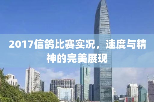 2017信鸽比赛实况，速度与精神的完美展现