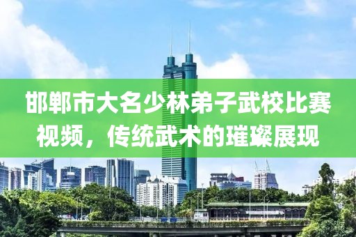 邯郸市大名少林弟子武校比赛视频，传统武术的璀璨展现